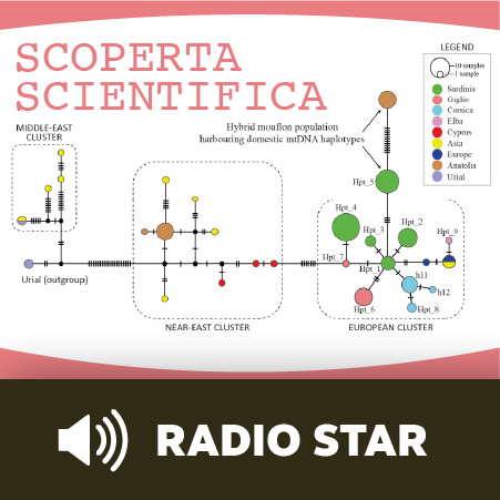 Radio Star Sardegna